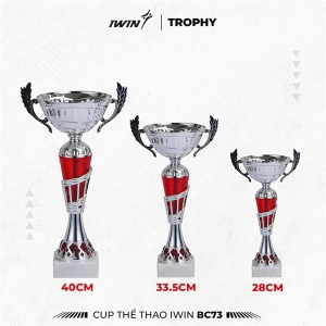 CUP IWIN BC73*