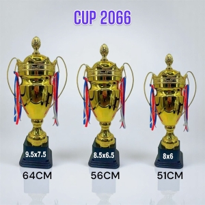 CUP TV 2066